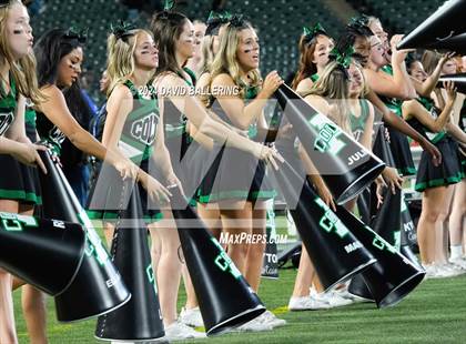 Thumbnail 2 in Lamar @ Arlington photogallery.