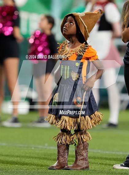 Thumbnail 1 in Lamar @ Arlington photogallery.