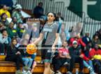 Photo from the gallery "Overhills @ Pine Forest"