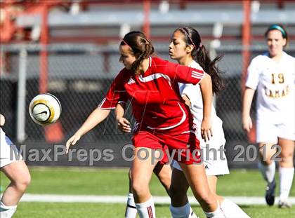 Thumbnail 2 in Lamar vs. Horn (Emily Hunter Fish Bowl Tournament) photogallery.