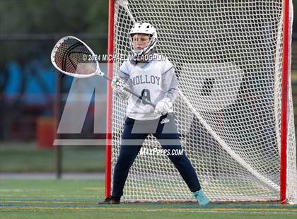 Thumbnail 2 in Archbishop Molloy @ Xaverian photogallery.