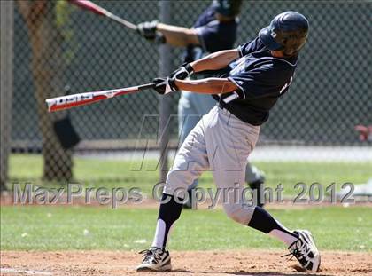 Thumbnail 3 in Los Osos vs. Palm Desert photogallery.