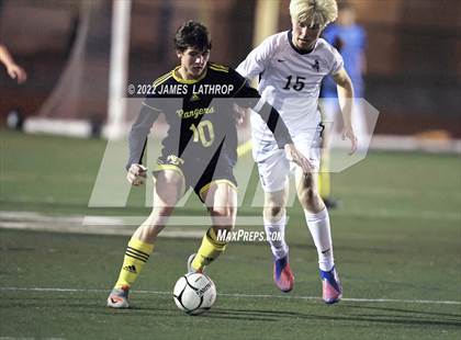 Thumbnail 2 in Pittsford @ Spencerport (NYSPHSAA Section 5 Class A Final) photogallery.