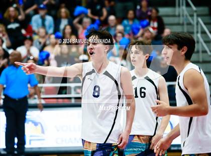 Thumbnail 1 in Birmingham vs Venice (CIF LAS D1 Final) photogallery.