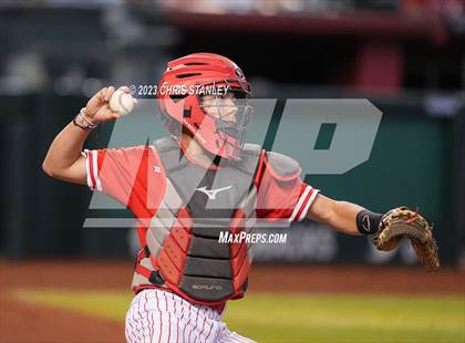 Thumbnail 3 in Lee Williams @ Coconino photogallery.