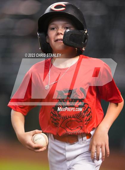 Thumbnail 3 in Lee Williams @ Coconino photogallery.
