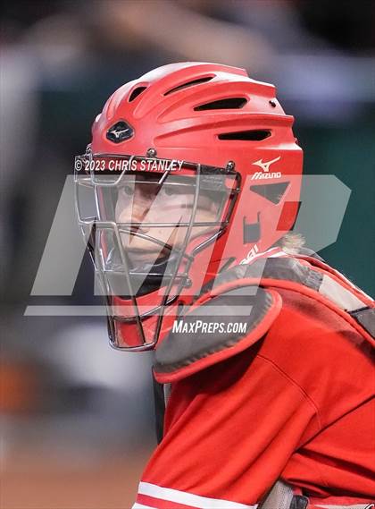 Thumbnail 3 in Lee Williams @ Coconino photogallery.