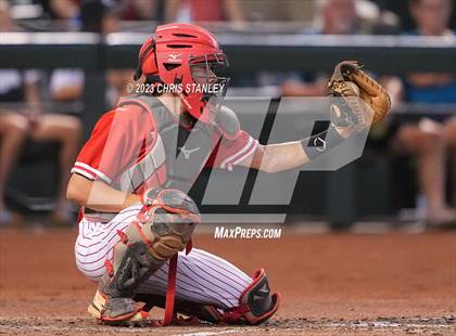 Thumbnail 3 in Lee Williams @ Coconino photogallery.