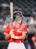 Photo from the gallery "Lee Williams @ Coconino"