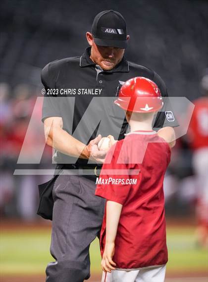 Thumbnail 1 in Lee Williams @ Coconino photogallery.