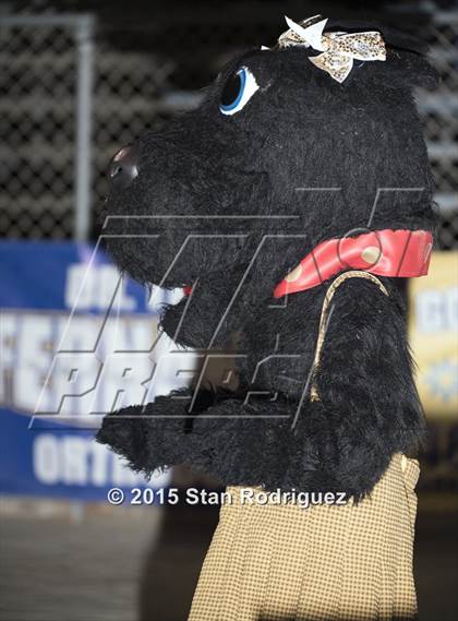 Thumbnail 3 in Royal @ Arroyo Grande (CIF SS 1st Round) photogallery.