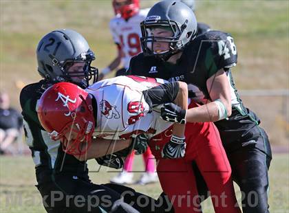 Thumbnail 1 in Arvada vs D'Evelyn photogallery.