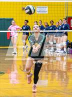 Photo from the gallery "Encinal @ Castro Valley"