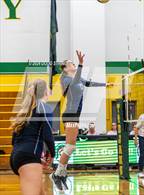 Photo from the gallery "Encinal @ Castro Valley"