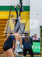 Photo from the gallery "Encinal @ Castro Valley"