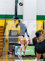 Photo from the gallery "Encinal @ Castro Valley"