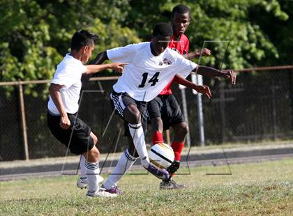 Thumbnail 2 in DuVal vs. Suitland photogallery.