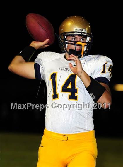 Thumbnail 3 in St. Thomas Aquinas @ Boyd Anderson photogallery.