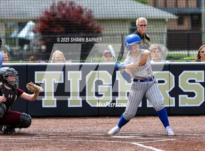 Thumbnail 3 in Crawfordsville vs. Brebeuf Jesuit Preparatory IHSAA Class 3A Softball S25 Sectional First Round photogallery.