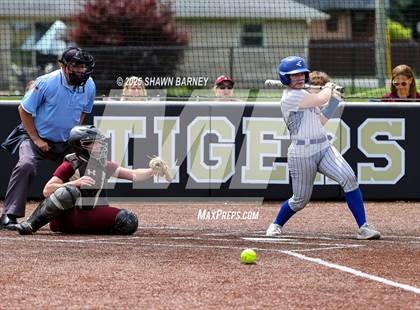 Thumbnail 2 in Crawfordsville vs. Brebeuf Jesuit Preparatory IHSAA Class 3A Softball S25 Sectional First Round photogallery.