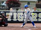 Photo from the gallery "Crawfordsville vs. Brebeuf Jesuit Preparatory IHSAA Class 3A Softball S25 Sectional First Round"