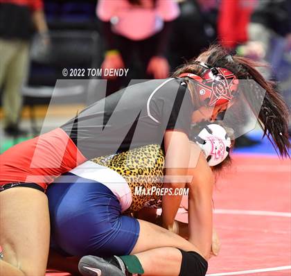 Thumbnail 2 in UIL State Championships - Session 4 photogallery.