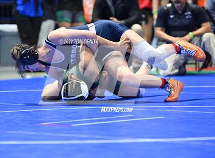 Thumbnail 1 in UIL State Championships - Session 4 photogallery.