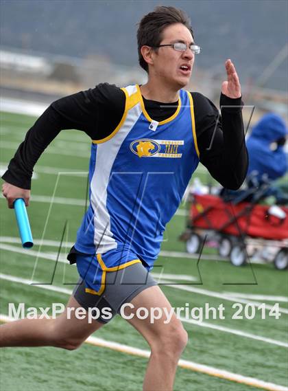 Thumbnail 1 in Questa Wildcats Relays photogallery.