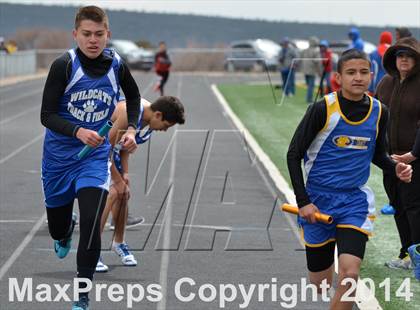 Thumbnail 2 in Questa Wildcats Relays photogallery.