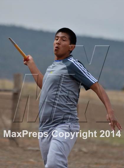 Thumbnail 3 in Questa Wildcats Relays photogallery.