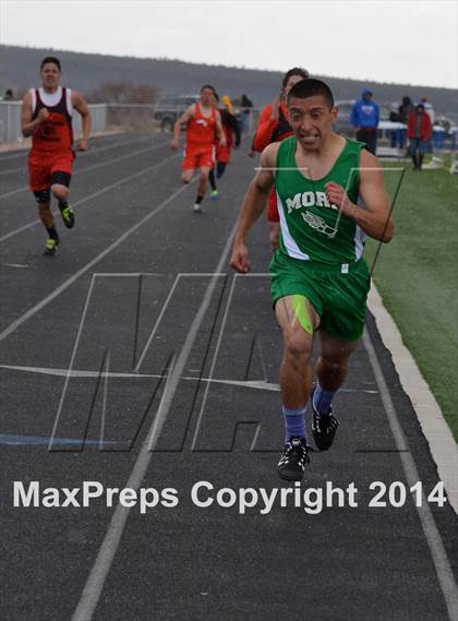 Thumbnail 3 in Questa Wildcats Relays photogallery.