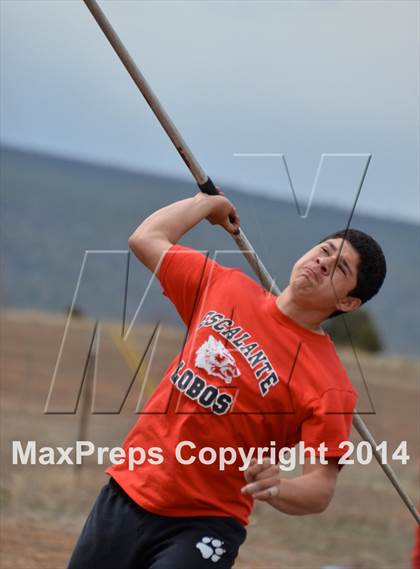Thumbnail 1 in Questa Wildcats Relays photogallery.