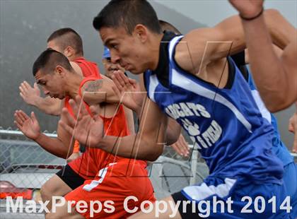 Thumbnail 1 in Questa Wildcats Relays photogallery.