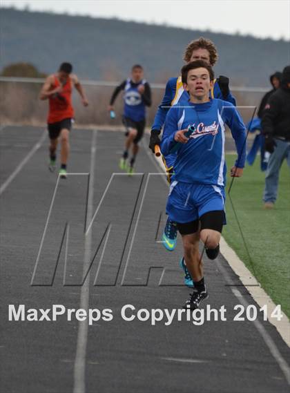 Thumbnail 1 in Questa Wildcats Relays photogallery.
