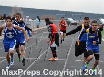 Thumbnail 2 in Questa Wildcats Relays photogallery.