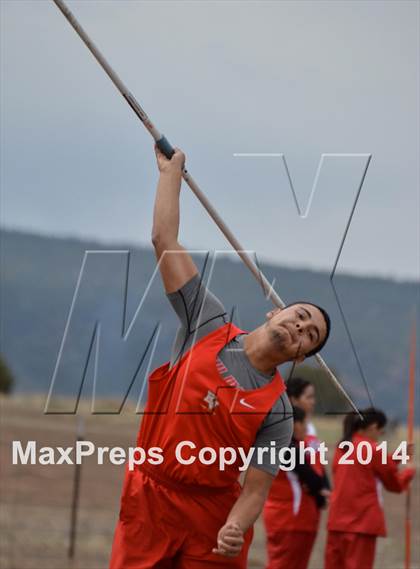 Thumbnail 2 in Questa Wildcats Relays photogallery.