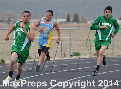 Thumbnail 3 in Questa Wildcats Relays photogallery.