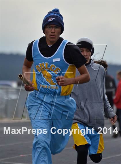 Thumbnail 3 in Questa Wildcats Relays photogallery.