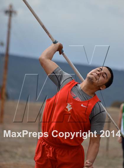 Thumbnail 2 in Questa Wildcats Relays photogallery.