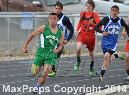 Thumbnail 3 in Questa Wildcats Relays photogallery.