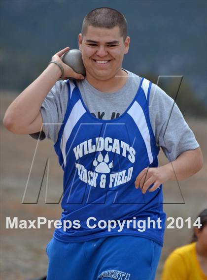 Thumbnail 2 in Questa Wildcats Relays photogallery.