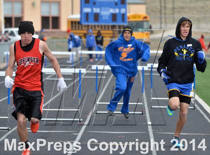 Thumbnail 3 in Questa Wildcats Relays photogallery.