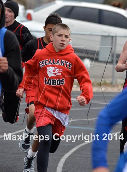 Thumbnail 2 in Questa Wildcats Relays photogallery.