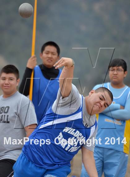 Thumbnail 1 in Questa Wildcats Relays photogallery.