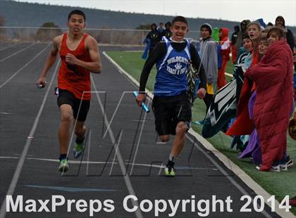 Thumbnail 3 in Questa Wildcats Relays photogallery.