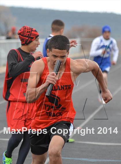 Thumbnail 3 in Questa Wildcats Relays photogallery.