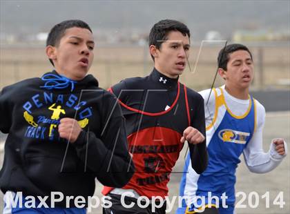 Thumbnail 3 in Questa Wildcats Relays photogallery.