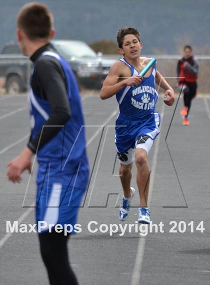 Thumbnail 1 in Questa Wildcats Relays photogallery.
