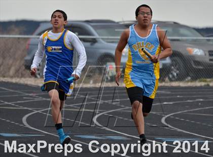 Thumbnail 2 in Questa Wildcats Relays photogallery.