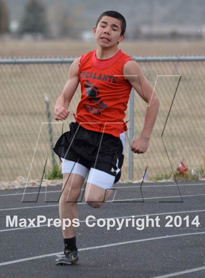 Thumbnail 1 in Questa Wildcats Relays photogallery.